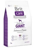 BRIT CARE Dog Grain-free Giant Salmon & Potato - losos s bramborem pro dospělé psy obřích plemen, bez obilí, 12kg